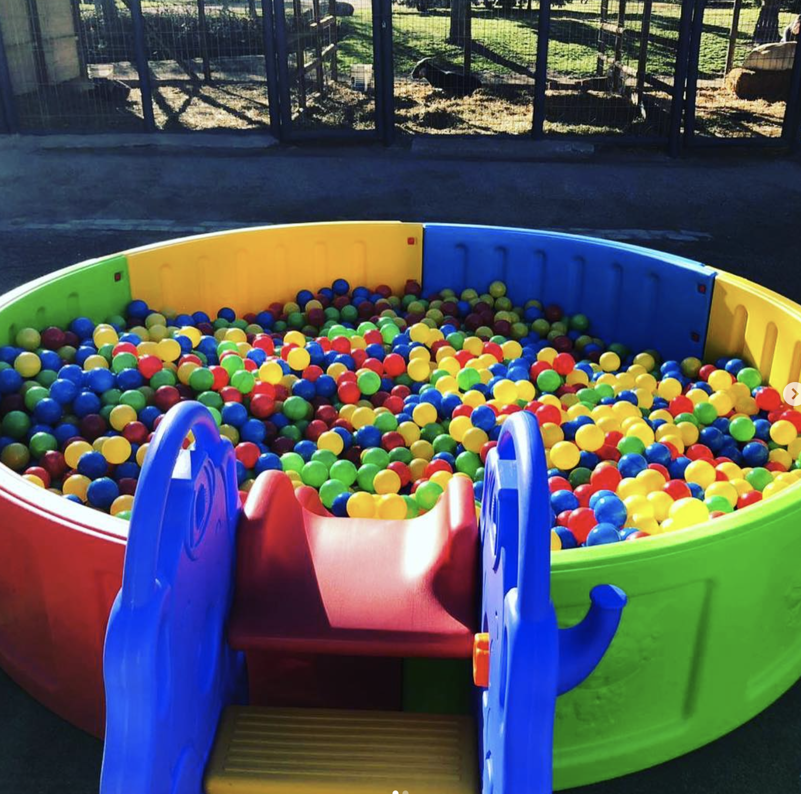 Piscina de colores
